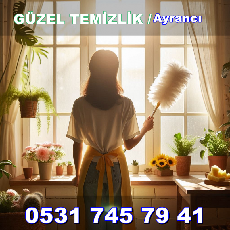 Ayrancı Temizlik